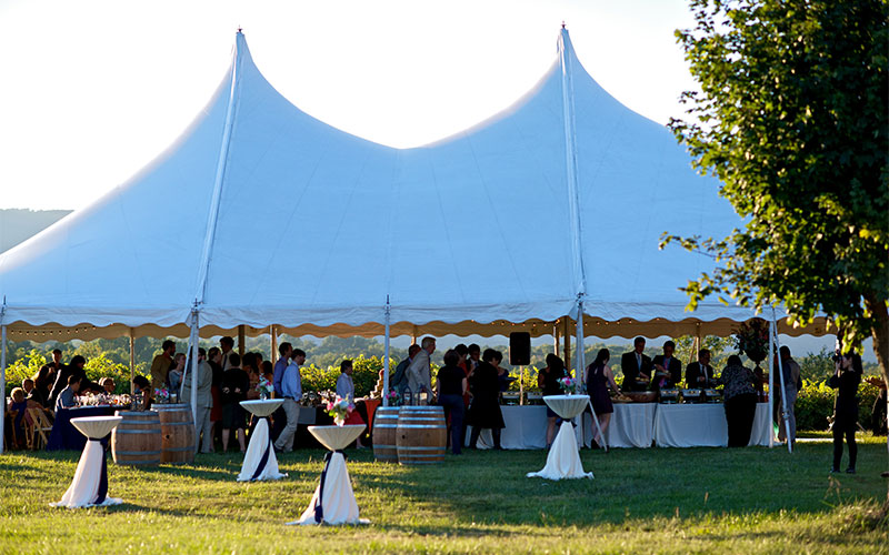 wedding at Cardinal Point