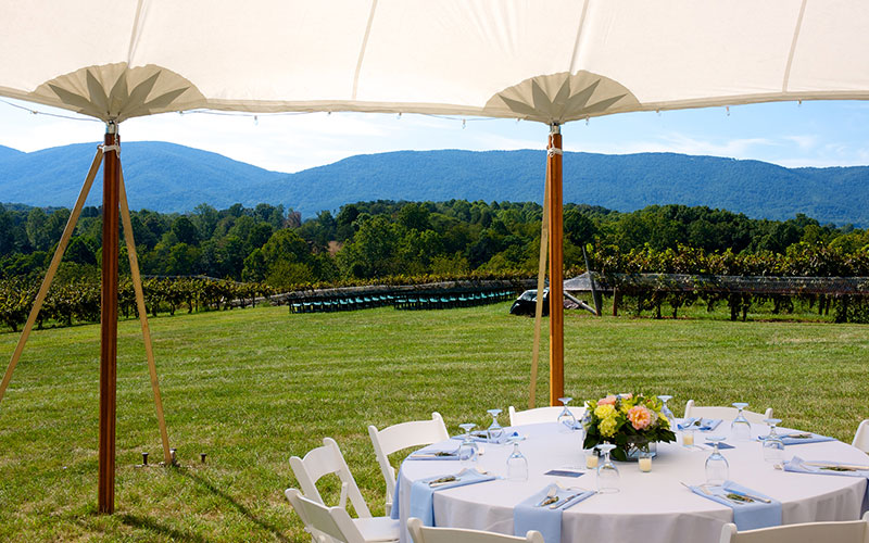 wedding at Cardinal Point